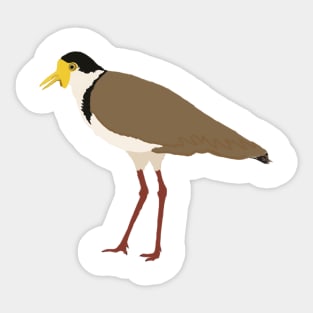 Masked Lapwing Sticker